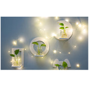 Creative Wall Hanging Wall Hydroponic Vase Hanging Transparent Flower Pot