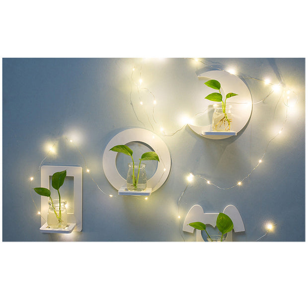 Creative Wall Hanging Wall Hydroponic Vase Hanging Transparent Flower Pot