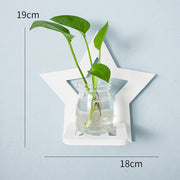 Creative Wall Hanging Wall Hydroponic Vase Hanging Transparent Flower Pot